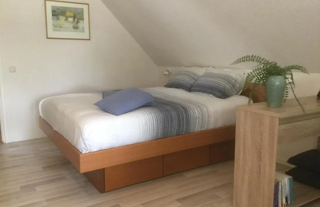 B&B De Eikenhorst-1